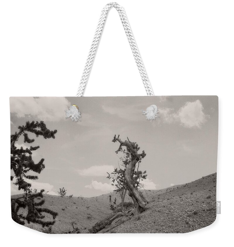 Utah Weekender Tote Bag featuring the photograph Talking Trees in Bryce Canyon by Carol Whaley Addassi