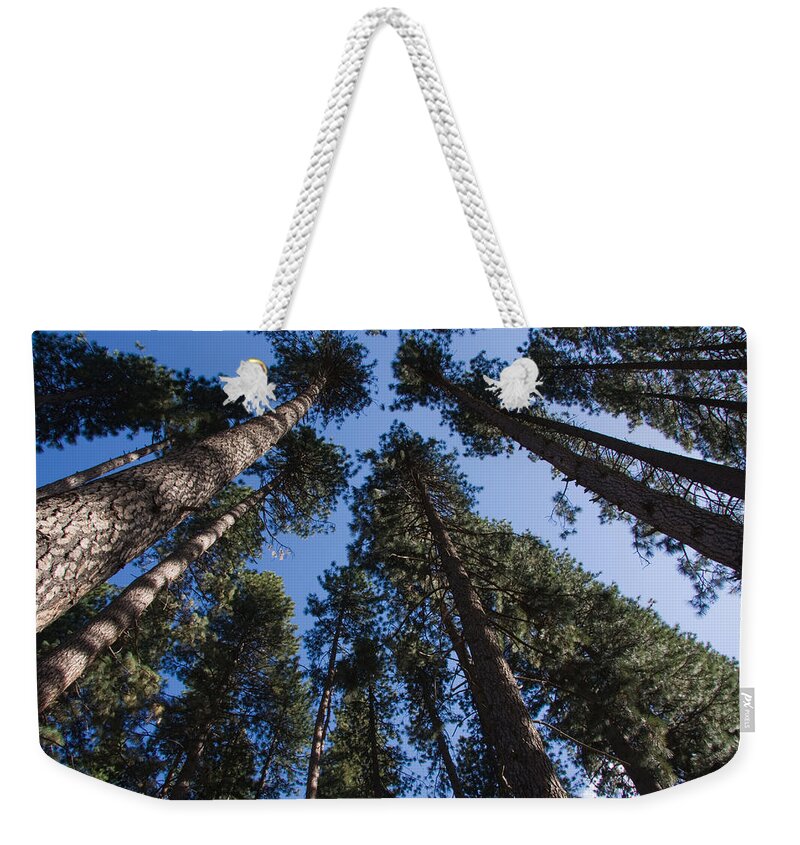 Trees Weekender Tote Bag featuring the photograph Talls trees Yosemite National Park by Sue Leonard