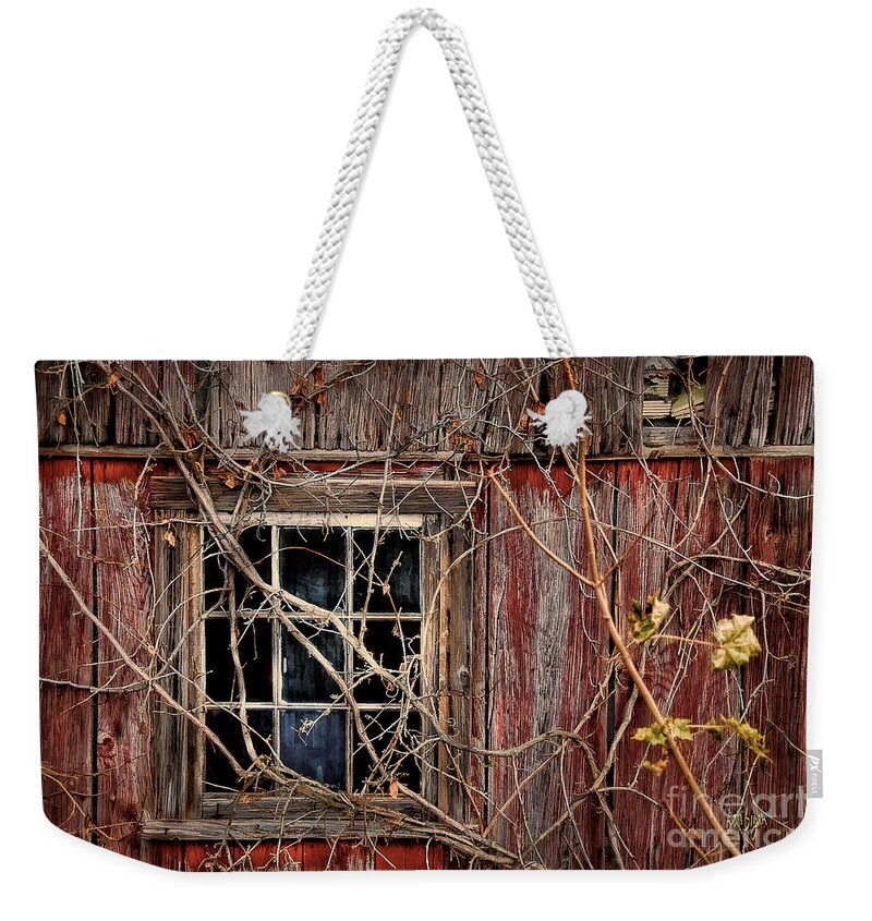 Barn Weekender Tote Bag featuring the photograph Tangled Up In Time by Lois Bryan