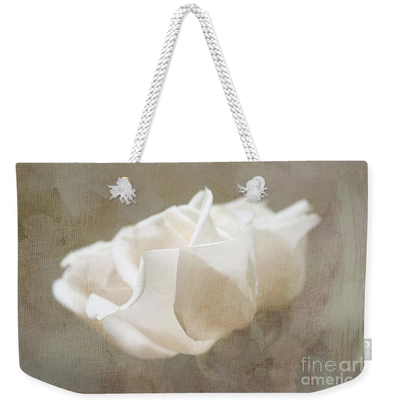 Rose Weekender Tote Bag featuring the digital art Taupe Dreams by Jayne Carney