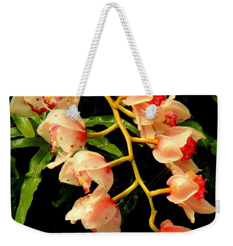 Fine Art Weekender Tote Bag featuring the photograph Tears of Beauty by Rodney Lee Williams