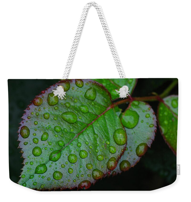 Leaf Weekender Tote Bag featuring the photograph Teary Rose Leaf by Juergen Roth