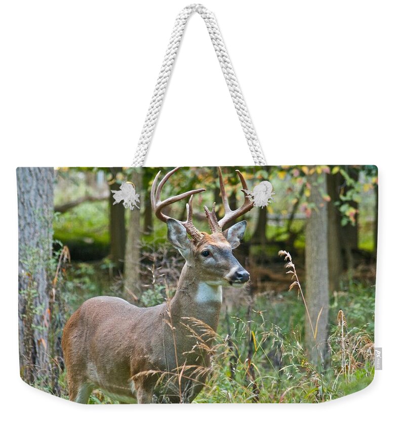 Buck Weekender Tote Bag featuring the photograph Ten Point in Troy 0036 4451 by Michael Peychich