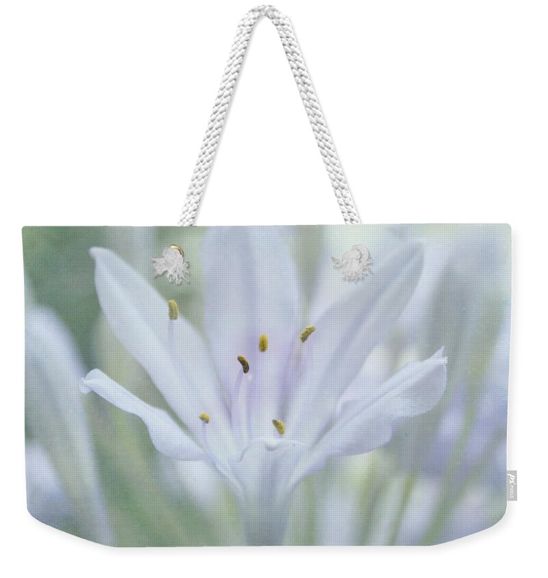 Flower Weekender Tote Bag featuring the photograph Tenderly by Kim Hojnacki