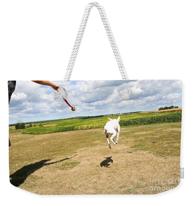 Dog Weekender Tote Bag featuring the photograph Terrier Levitation by Susan Herber
