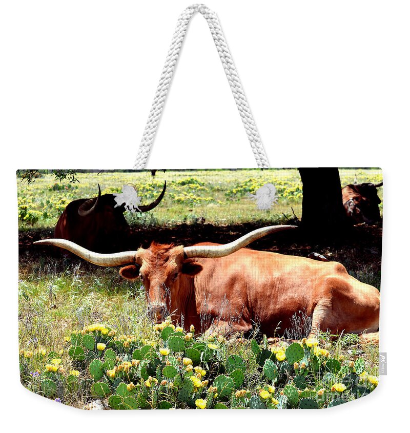 Linda Cox Weekender Tote Bag featuring the photograph Texas Longhorns 2 by Linda Cox