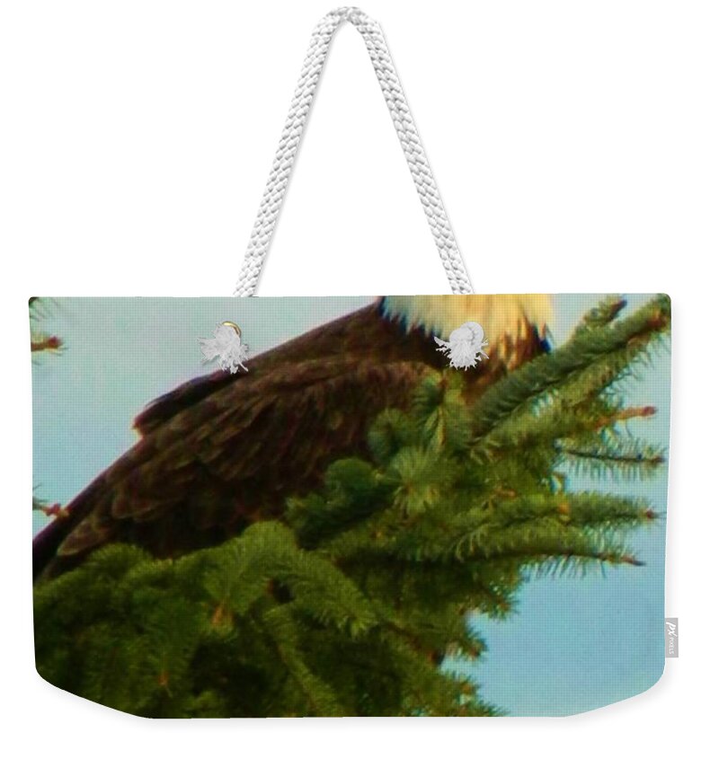 Thank You Weekender Tote Bag featuring the photograph Thank You Eagle by Gallery Of Hope 