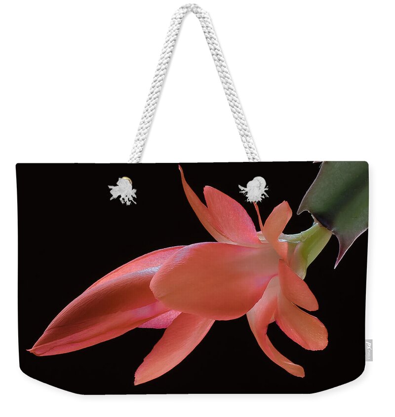 Cactus Weekender Tote Bag featuring the photograph Thanksgiving Cactus by James Barber