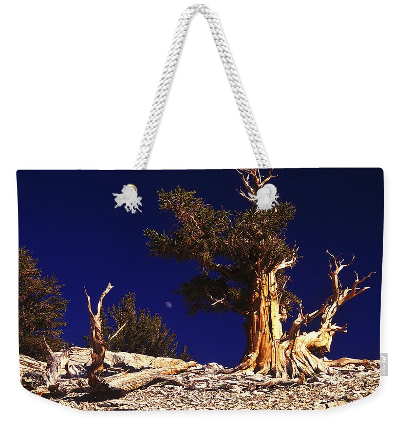 Bristlecone Weekender Tote Bag featuring the photograph The Ancients by Paul W Faust - Impressions of Light