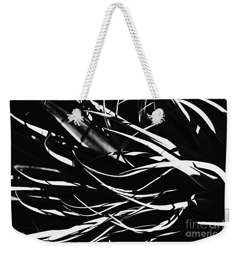 Succulent Weekender Tote Bag featuring the photograph The Arms of the Agave by Clare Bevan