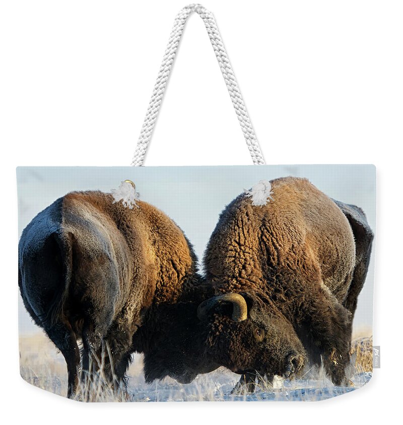 African Buffalo Weekender Tote Bag featuring the photograph The Battle by Ojeffrey Photography
