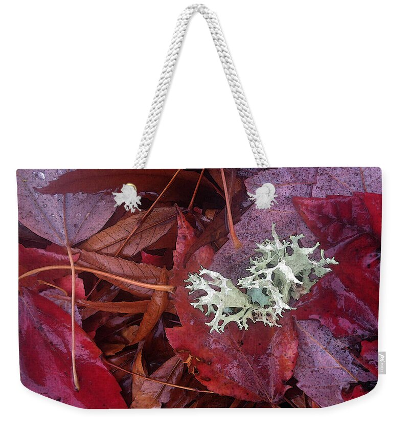Fall Weekender Tote Bag featuring the photograph The Beauty of Rain by Gwyn Newcombe