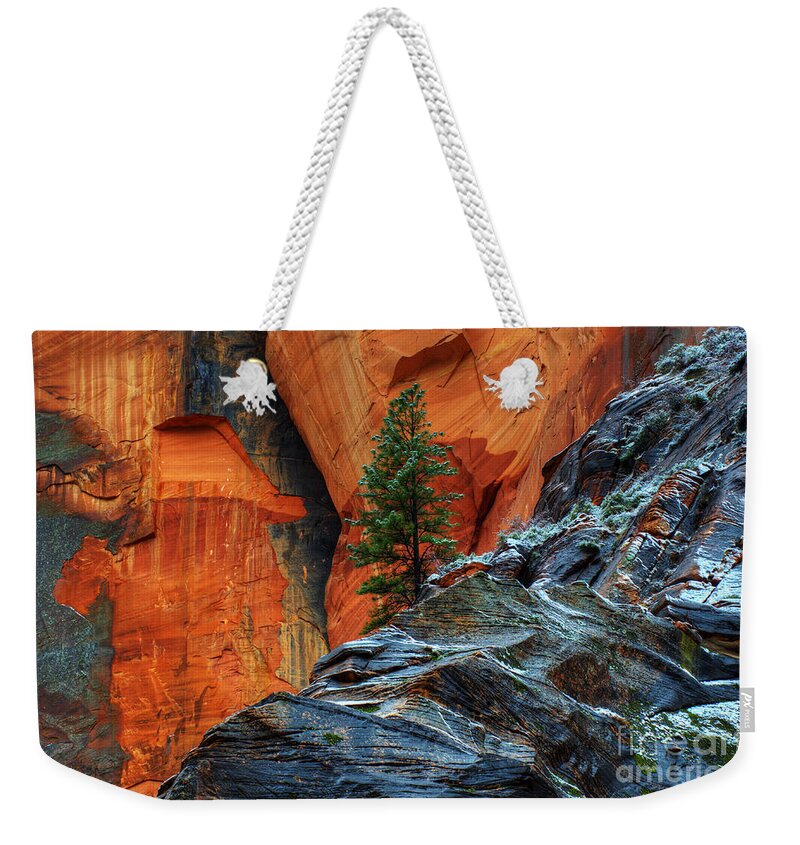Beauty Weekender Tote Bag featuring the photograph The Beauty Of Sandstone Zion by Bob Christopher