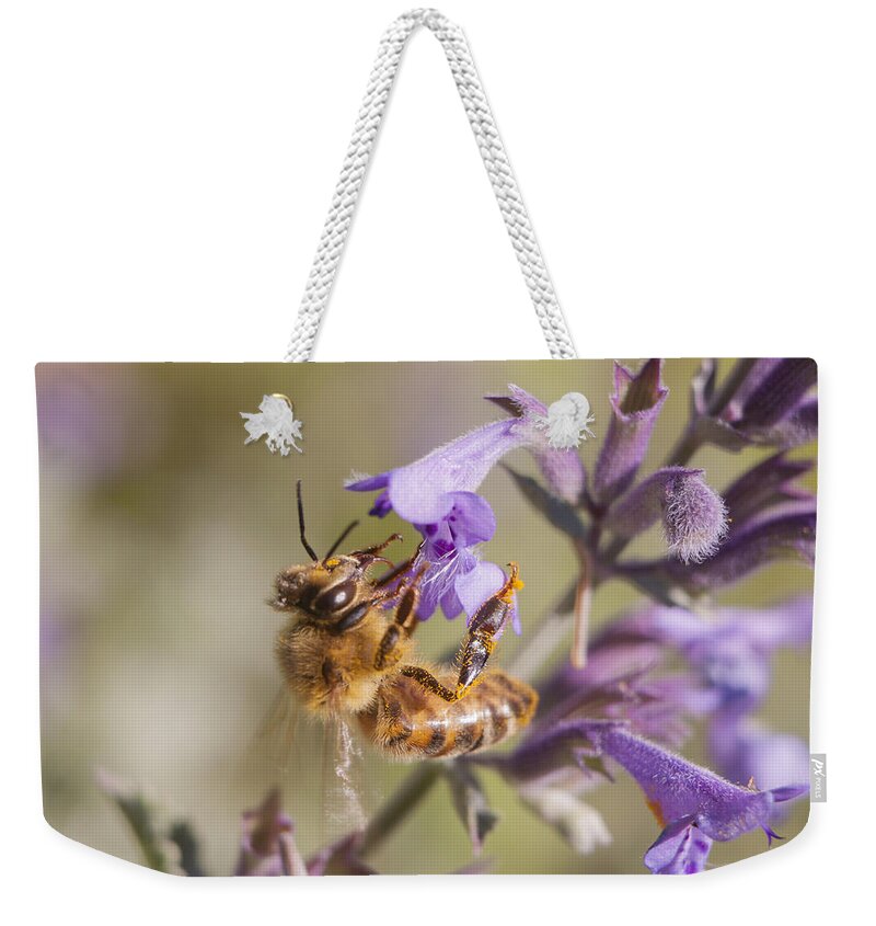 Bee Weekender Tote Bag featuring the photograph The Bee's Knees by Caitlyn Grasso