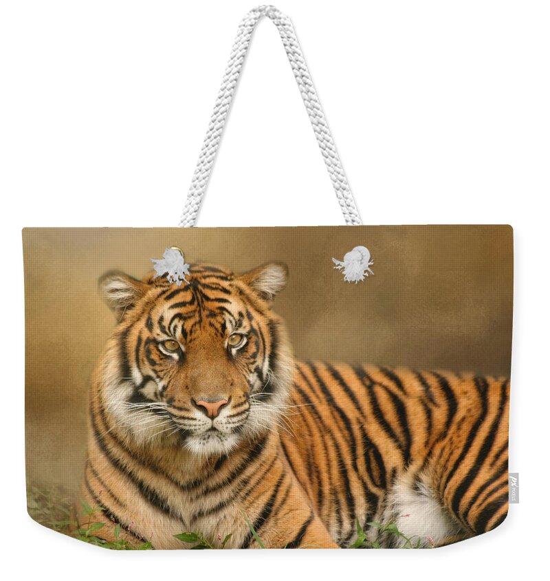Africa Weekender Tote Bag featuring the photograph The Big Cat by Kim Hojnacki