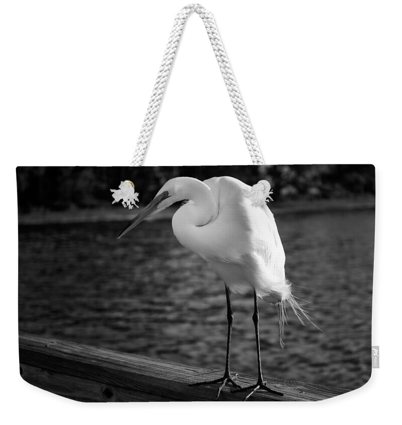 Bird Weekender Tote Bag featuring the photograph The Bird by Howard Salmon