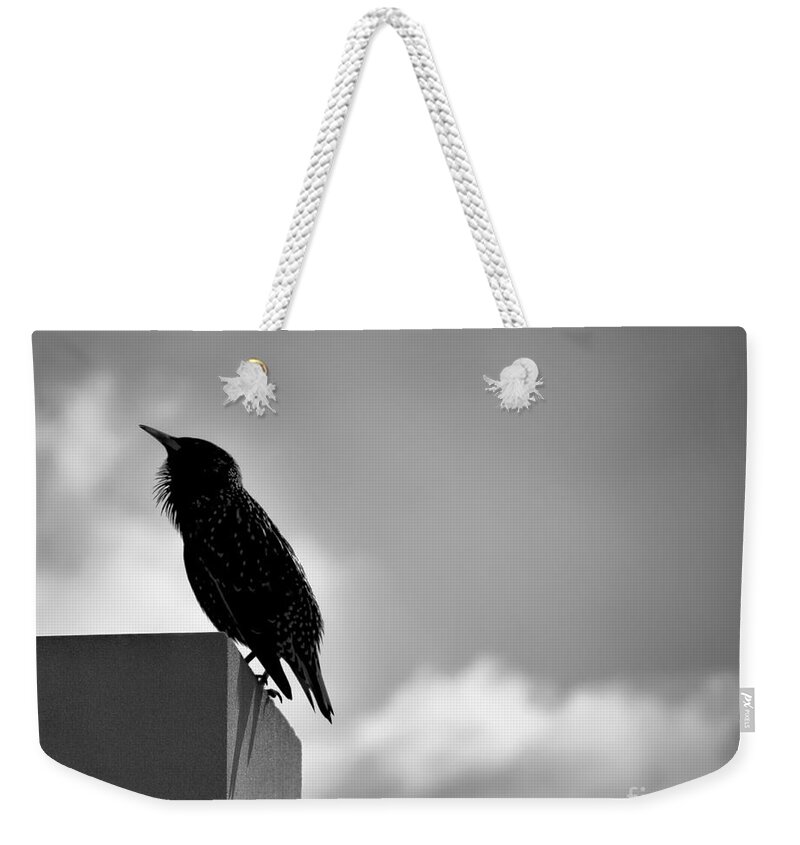 Top Artist Weekender Tote Bag featuring the photograph The Bird on The Wall by Norman Gabitzsch