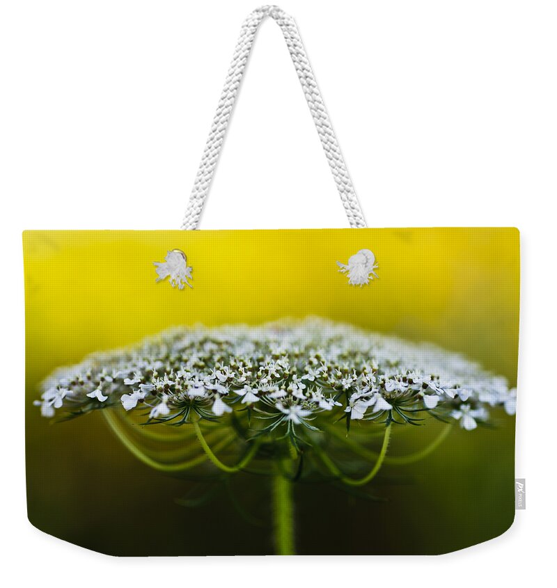 Bishops Lace Weekender Tote Bag featuring the photograph The Bright Side of Life by Christi Kraft