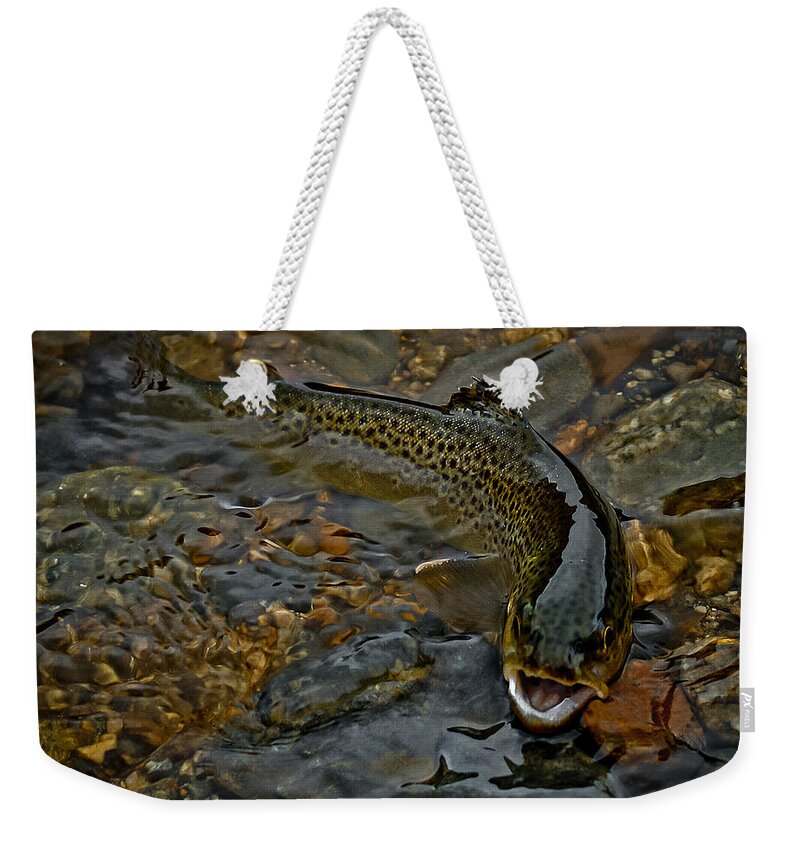 The Brown Trout Weekender Tote Bag featuring the photograph The Brown Trout by Ernest Echols