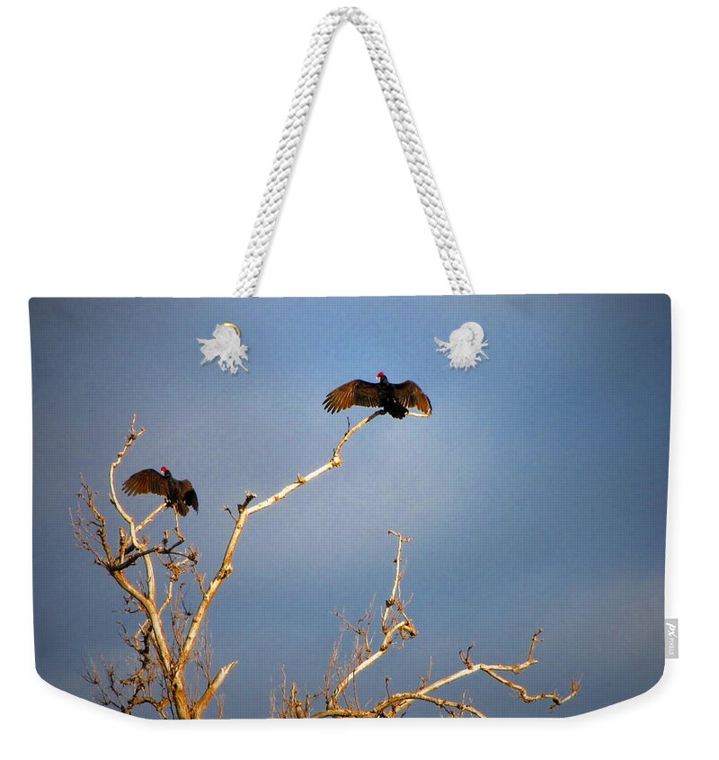 Buzzard Weekender Tote Bag featuring the photograph The Buzzard Roost by Joyce Dickens