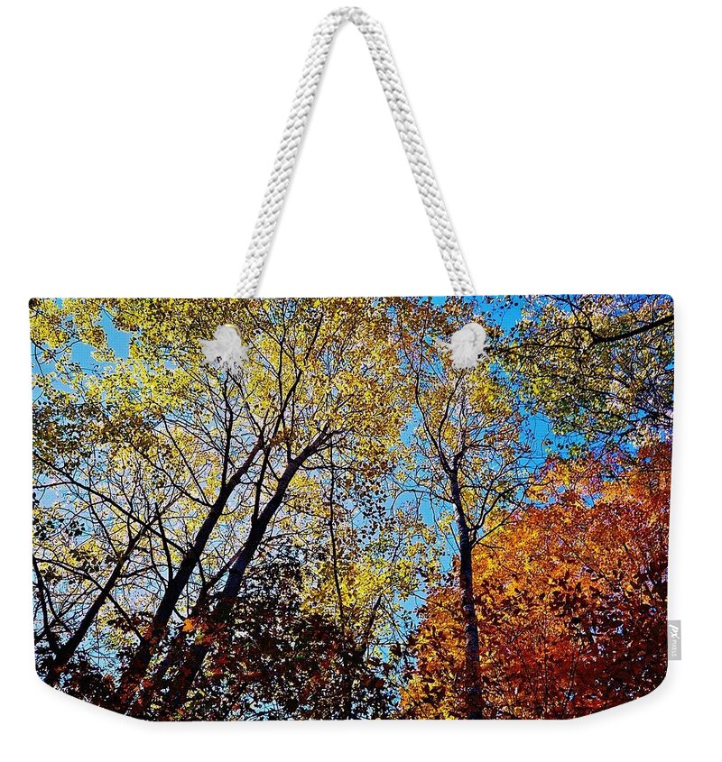 Fall Colours Weekender Tote Bag featuring the photograph The Canopy by Daniel Thompson