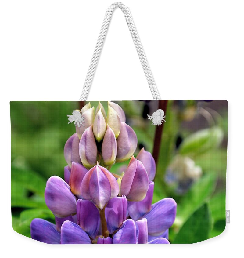 Lupin Weekender Tote Bag featuring the photograph The Colors of Lupine by Rona Black