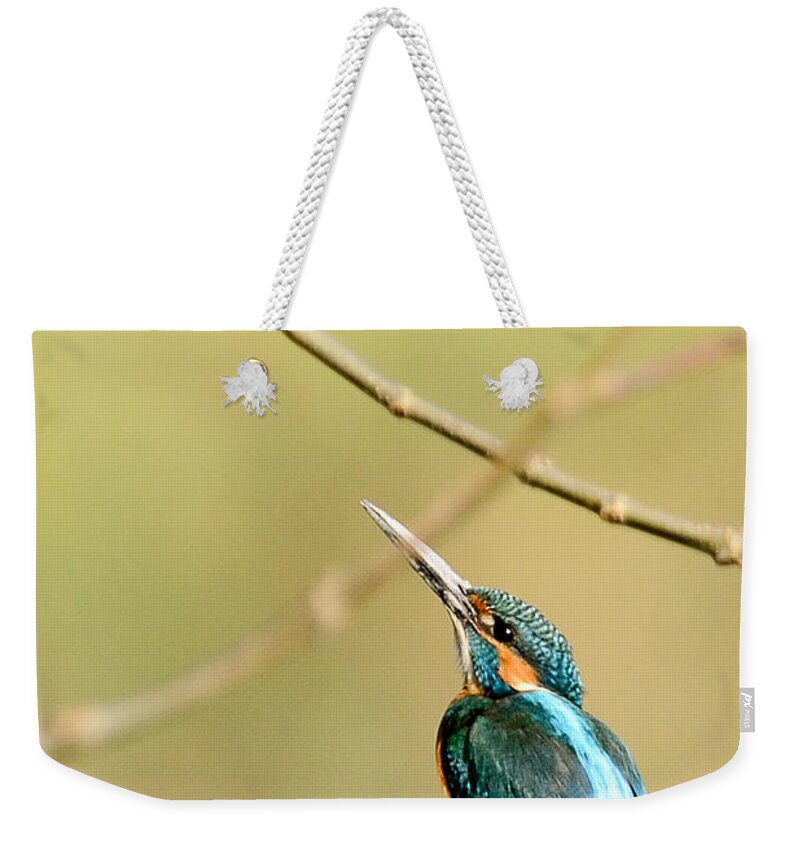 Common Weekender Tote Bag featuring the photograph The Common Kingfisher by Fotosas Photography