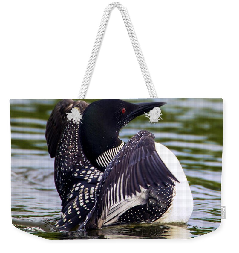 Bird Weekender Tote Bag featuring the photograph The Common Loon by Bill and Linda Tiepelman