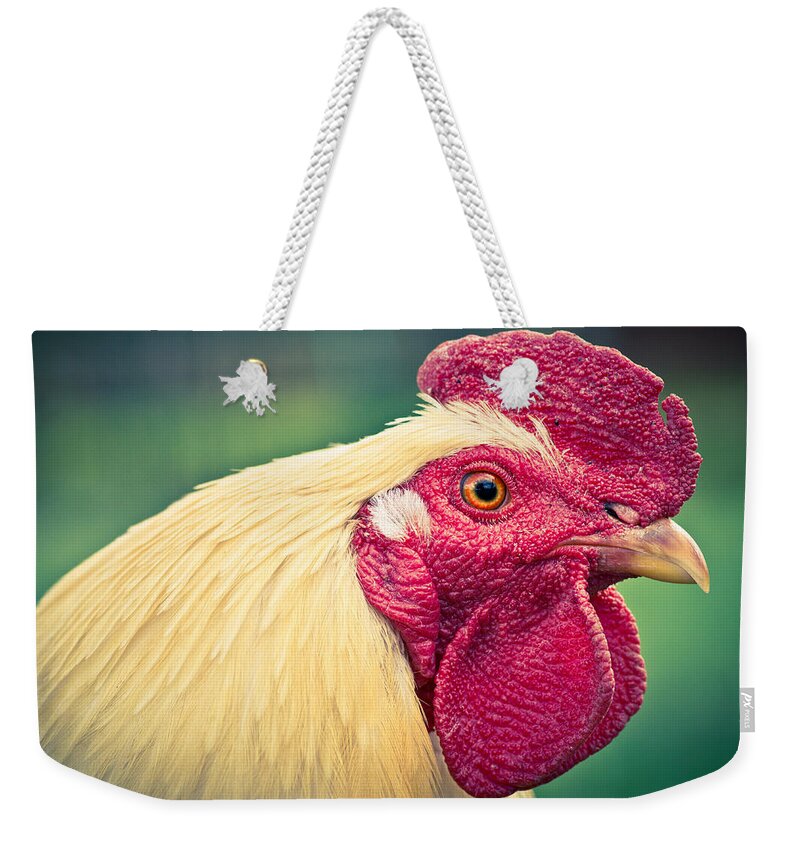 The Crazy Chicken Weekender Tote Bag featuring the photograph The Crazy Chicken by Priya Ghose