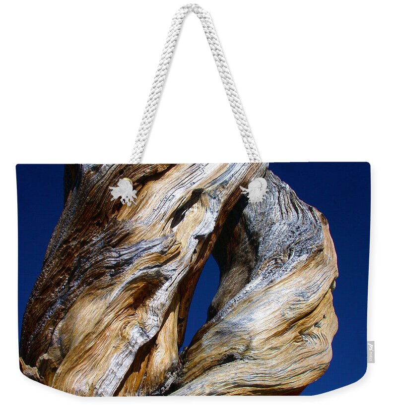 D Weekender Tote Bag featuring the photograph The D Tree by Shane Bechler