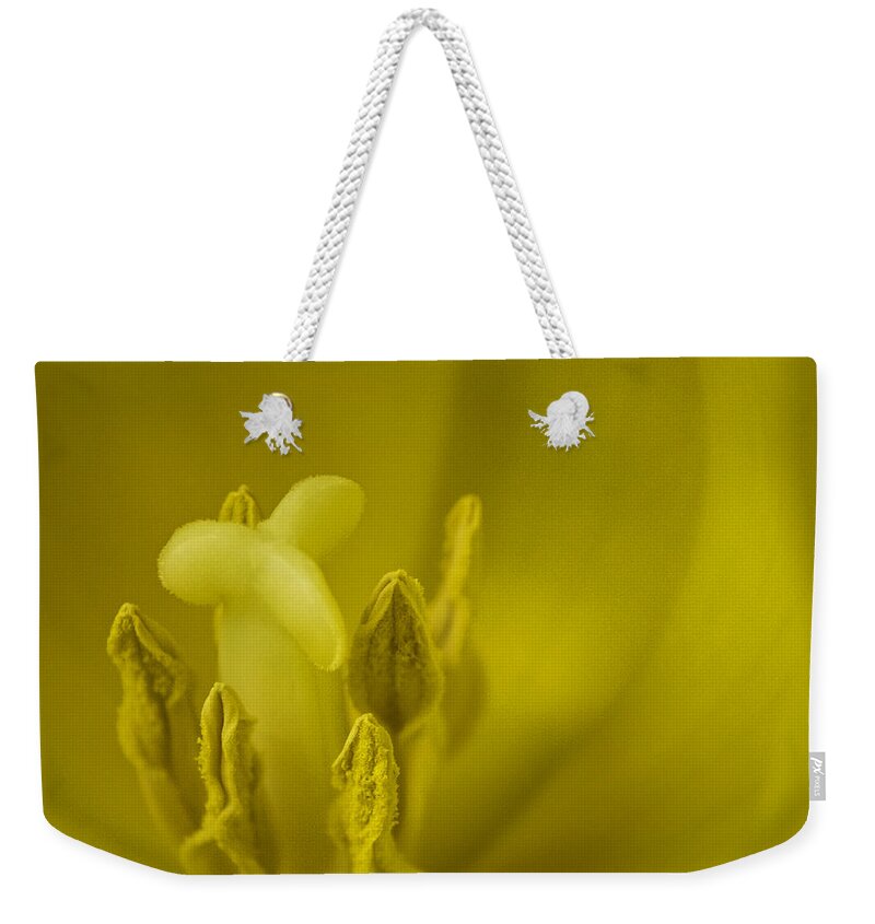 Tulips Weekender Tote Bag featuring the photograph The Dance by Lucinda Walter