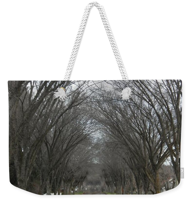 Elm Weekender Tote Bag featuring the photograph The Elm Arch by Vivian Martin