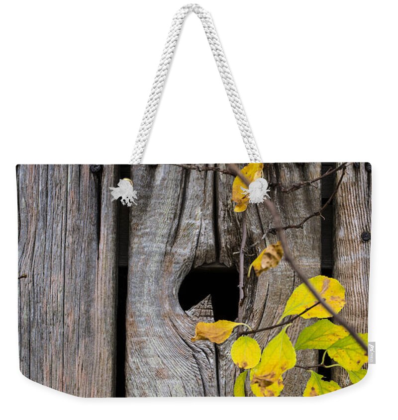 Andrew Pacheco Weekender Tote Bag featuring the photograph The End is Always Near by Andrew Pacheco