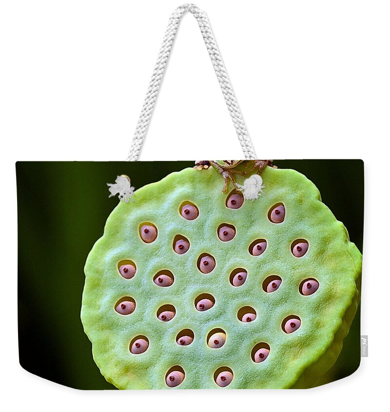 Amphibians Weekender Tote Bag featuring the photograph The eyes have it by Jean Noren