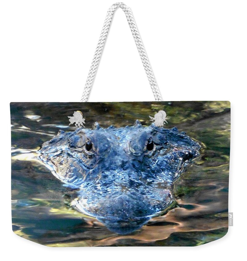 Alligator Weekender Tote Bag featuring the photograph The Eyes of the Alligator by Richard Bryce and Family