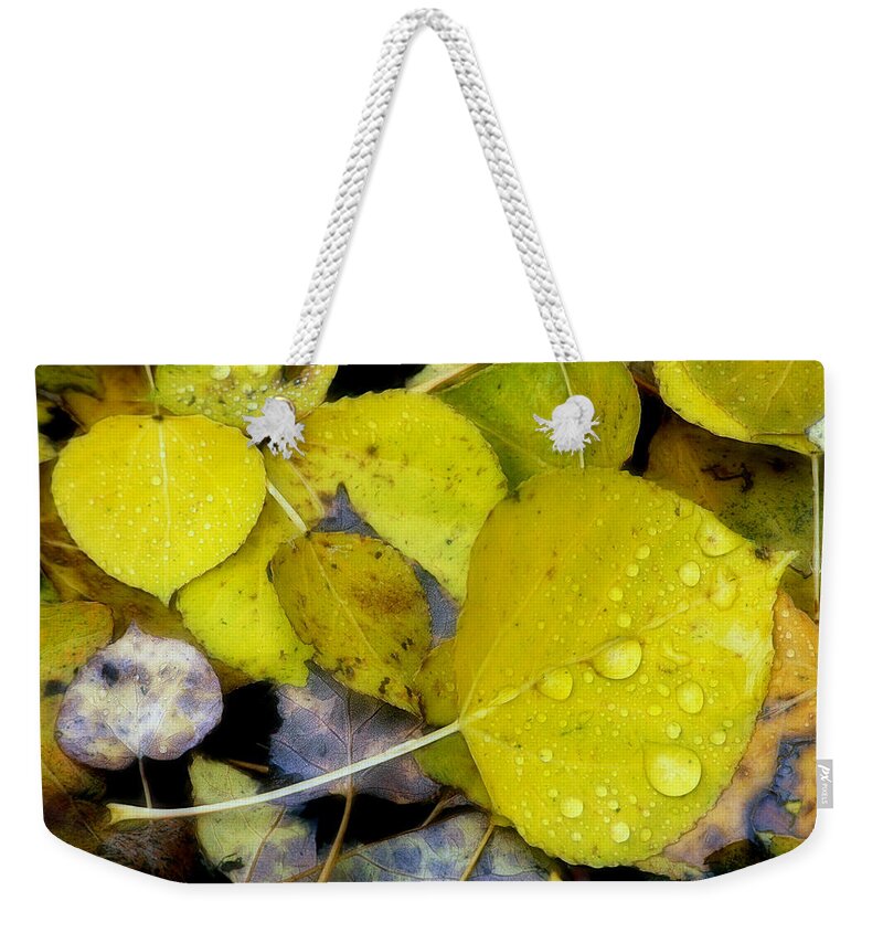 Leaves Weekender Tote Bag featuring the photograph The Face Of Fall by Bill Morgenstern