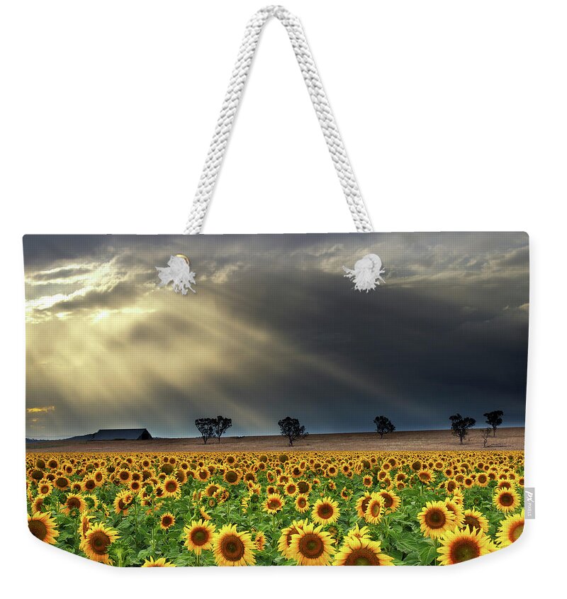 Tranquility Weekender Tote Bag featuring the photograph The Far Road by Photo Taken By Anthony Ginman
