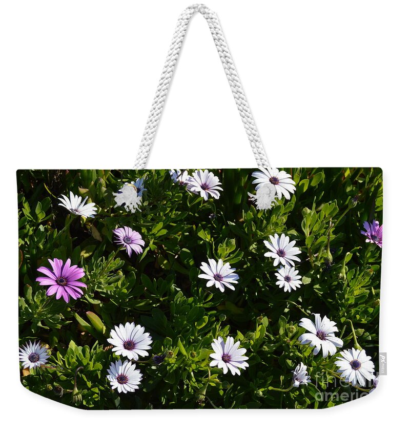 Flowers Weekender Tote Bag featuring the photograph The Garden by Laurie Lundquist