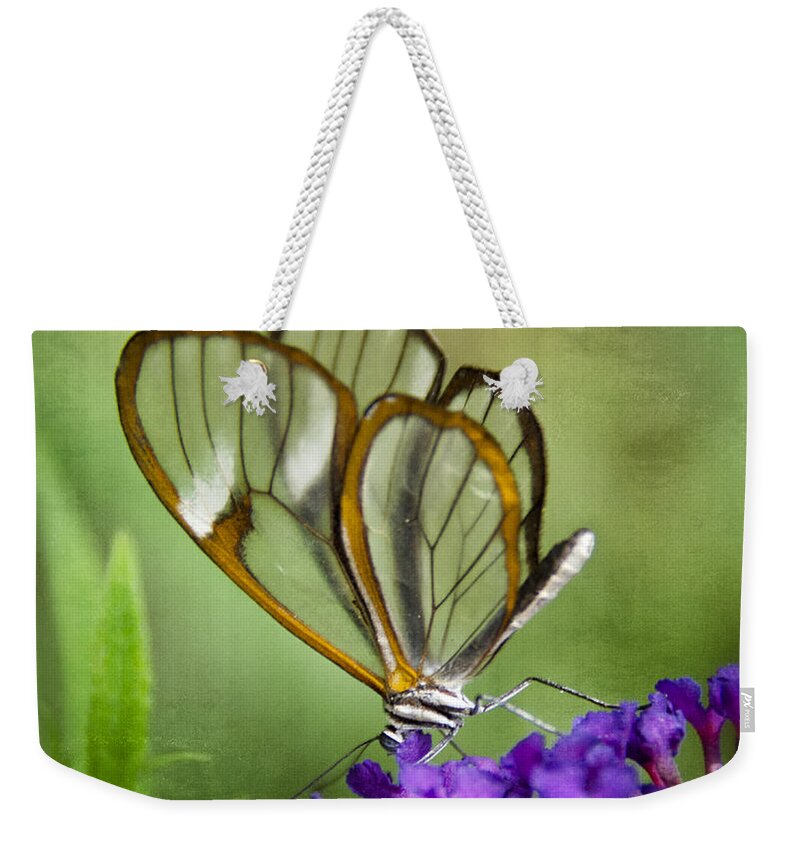 Glasswing Butterfly Weekender Tote Bag featuring the photograph The Glasswing by Saija Lehtonen