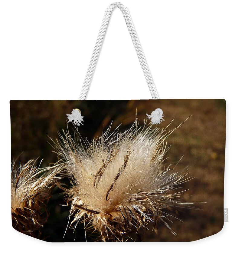 Gold Weekender Tote Bag featuring the photograph The Golden Present by Lucinda Walter