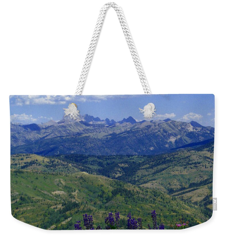 Lupines Weekender Tote Bag featuring the photograph The Grand and Lupines by Raymond Salani III