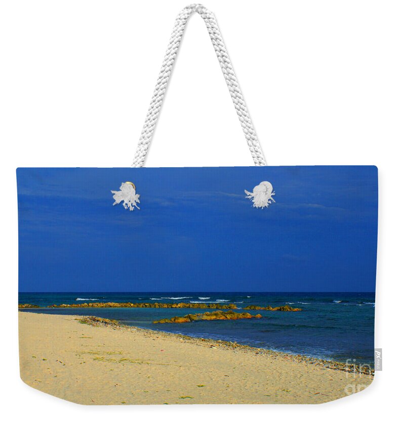 beach bags edgars