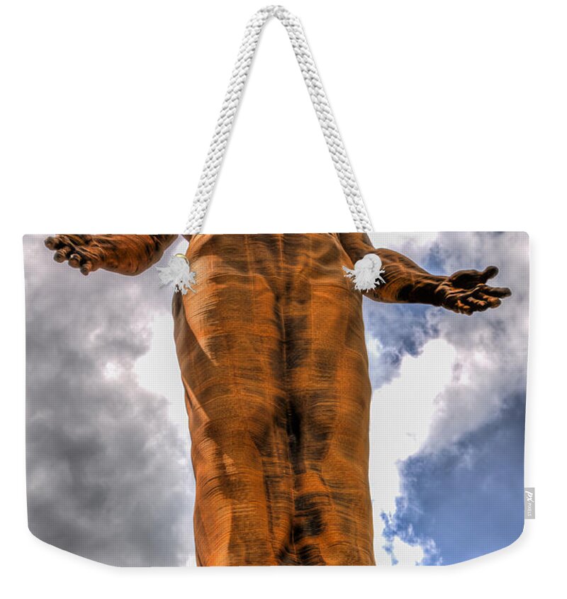The Guardian. Guardian Weekender Tote Bag featuring the photograph The Guardian 1 by Steve Purnell