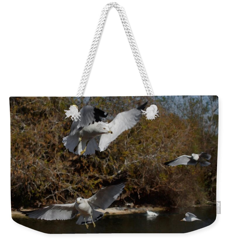 Seagull Weekender Tote Bag featuring the digital art The Gulls by Ernest Echols