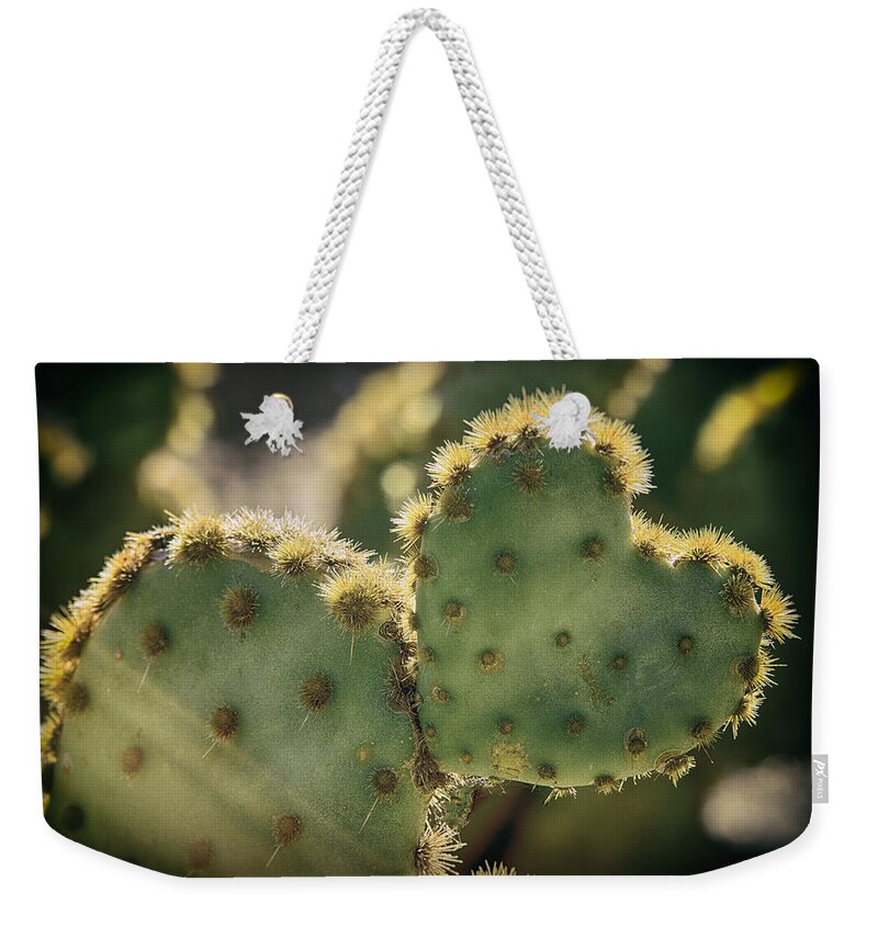 Cactus Weekender Tote Bag featuring the photograph The Heart of a Cactus by Saija Lehtonen