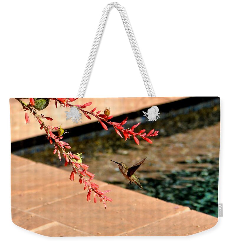 Animal Weekender Tote Bag featuring the photograph The Hummer And The Red Yucca by Jay Milo
