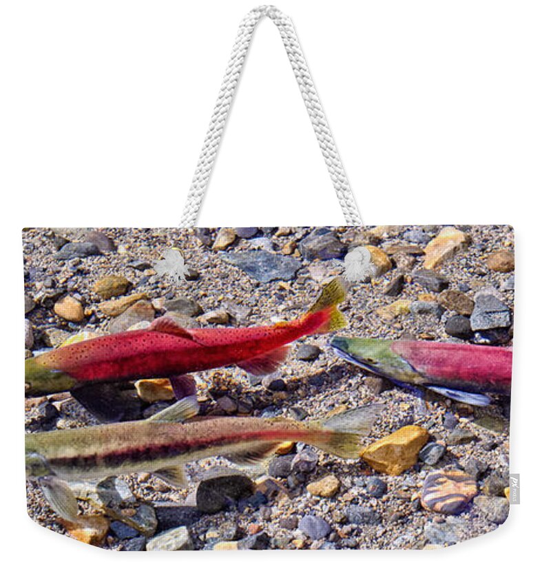 Fish Weekender Tote Bag featuring the photograph The Interloper by Jim Thompson
