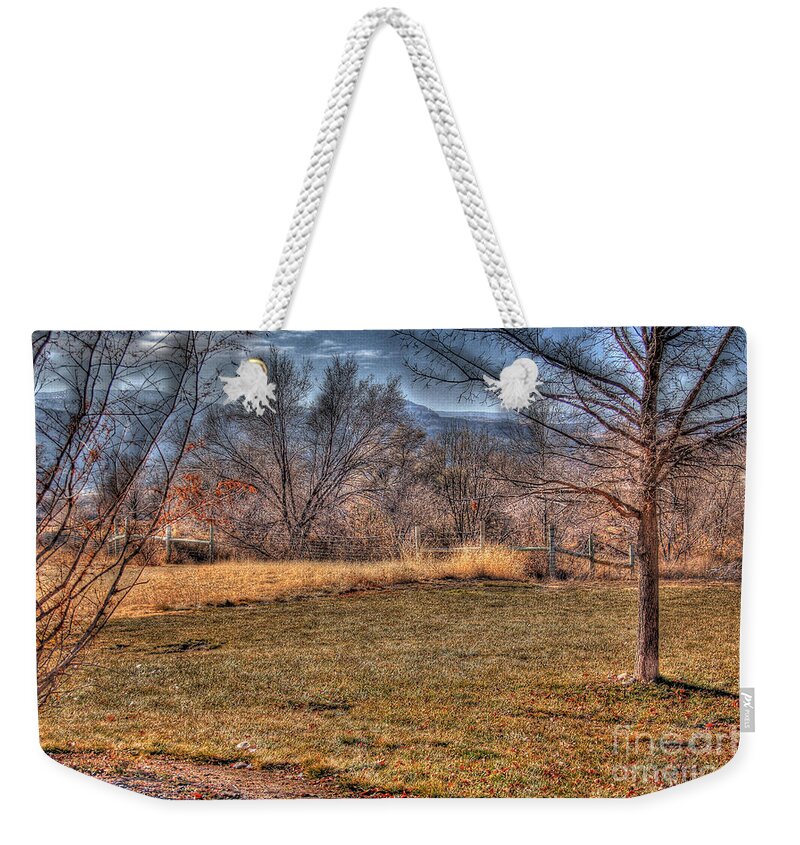 Colorado Weekender Tote Bag featuring the photograph The last days of fall by Bob Hislop