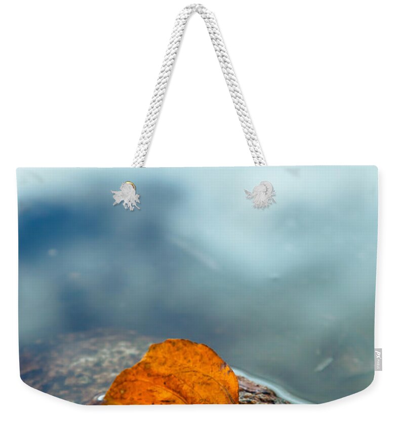 Fall Weekender Tote Bag featuring the photograph The Leaf by Jonathan Nguyen