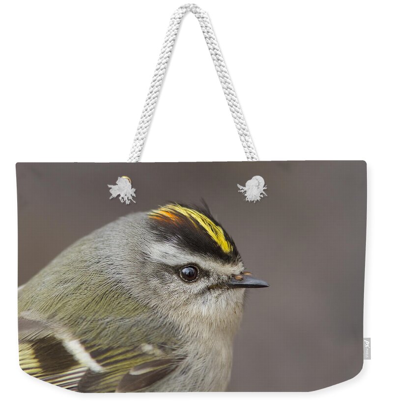 Golden-crowned-kinglet Weekender Tote Bag featuring the photograph The Little King Portrait by Mircea Costina Photography